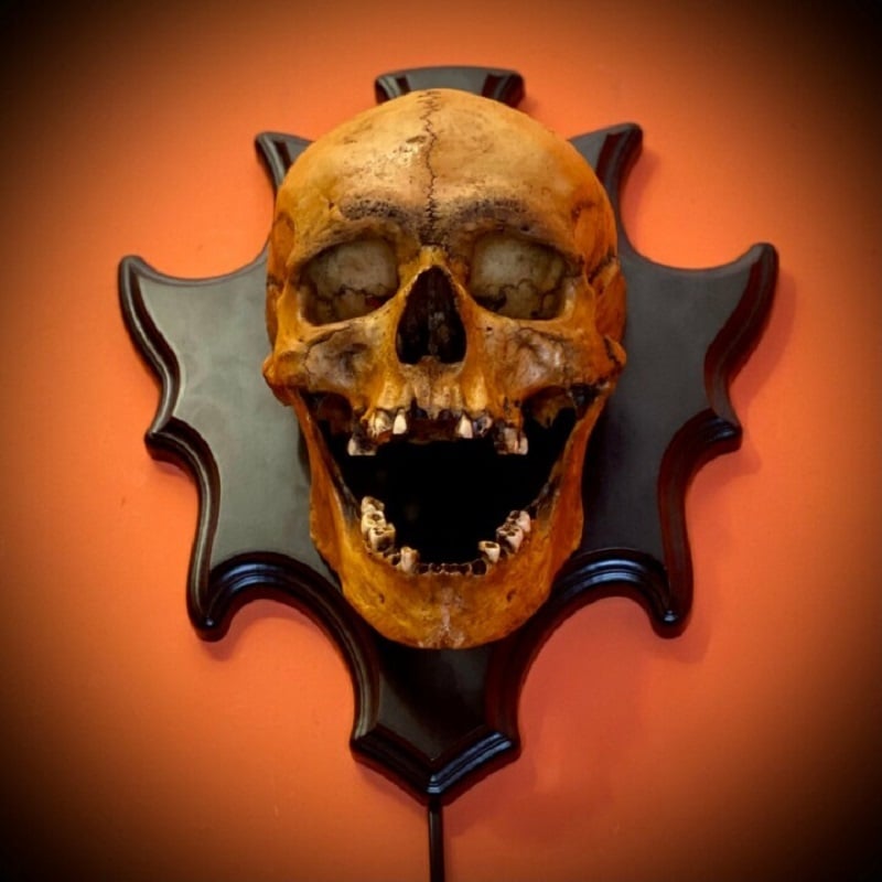 Wall Mounted Skull Lamp - Nocturiskull