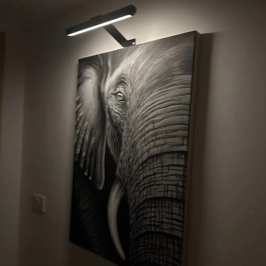 Wireless Rechargeable LED Wall Light for Artwork and Decor