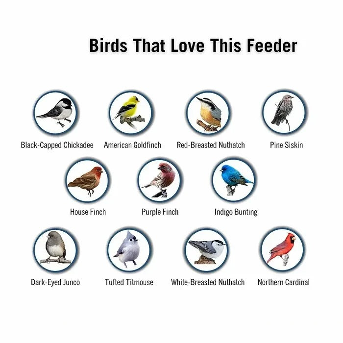 Weather Resistant Squirrel Proof Bird Feeder for Outdoor Use
