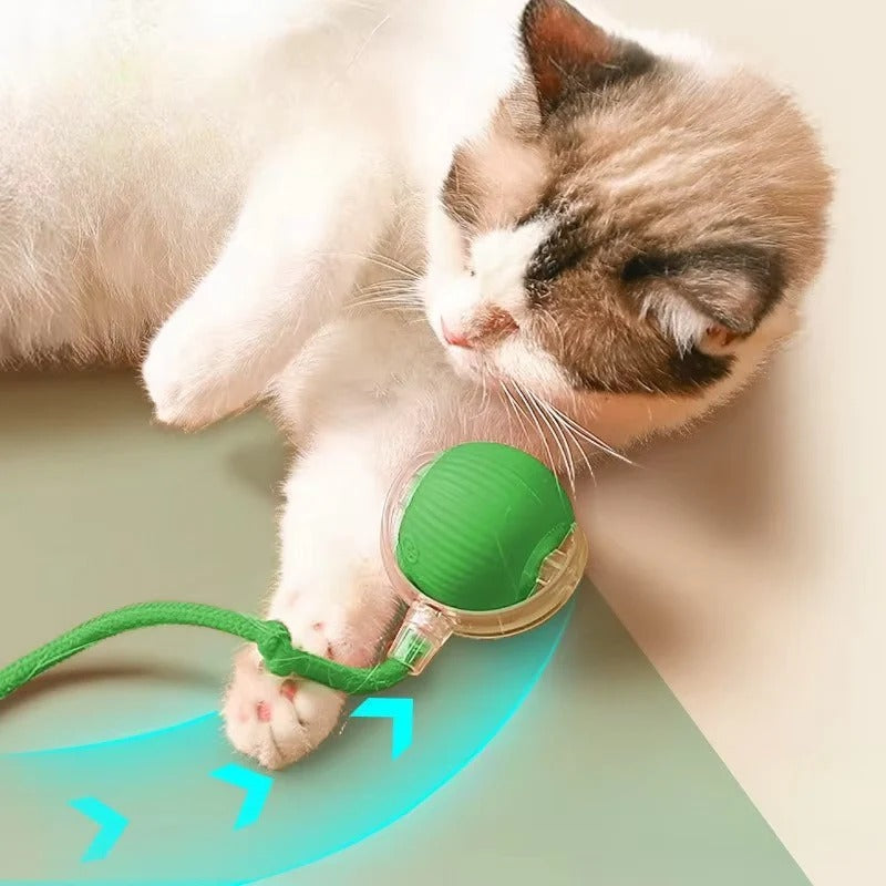 Motorized Rolling Cat Toy with Fiber Tail Design