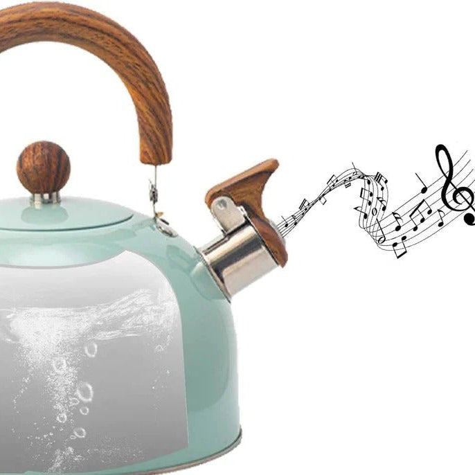Stainless Steel Whistling Stovetop Kettle with Insulated Handle