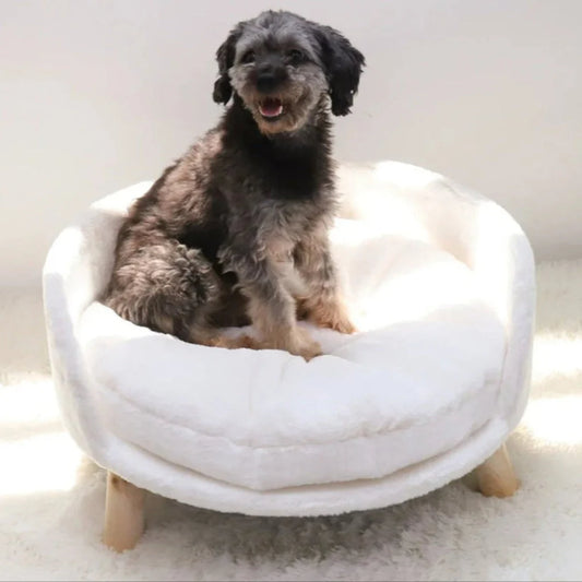 Elevated Circular Cat and Dog Lounger with Timber Legs and Detachable Padded Insert