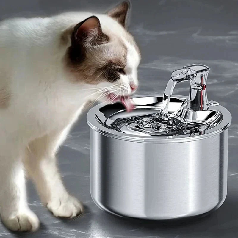 Motion Activated Steel Water Dispenser for Cats with Replaceable Filter Cartridge