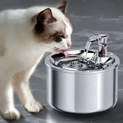 Motion Activated Steel Water Dispenser for Cats with Replaceable Filter Cartridge