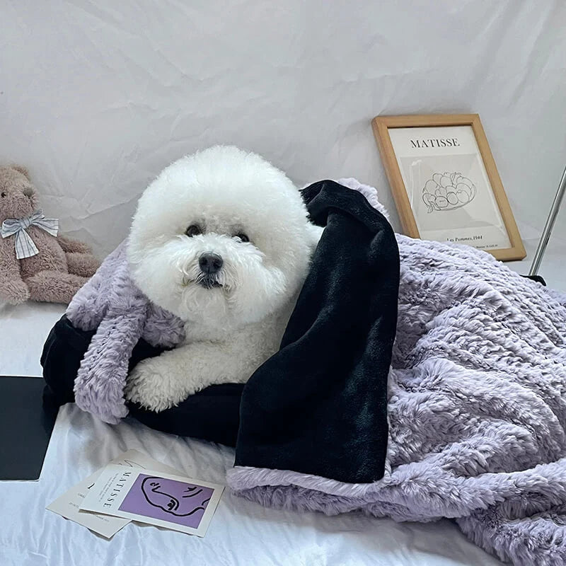 Fluffy Dog and Cat Cushion Bed with Detachable Cover and Bonus Pillow