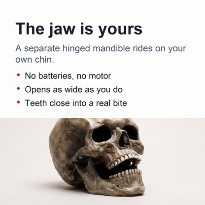 Movable Jaw Full Head Latex Skull Mask for Halloween