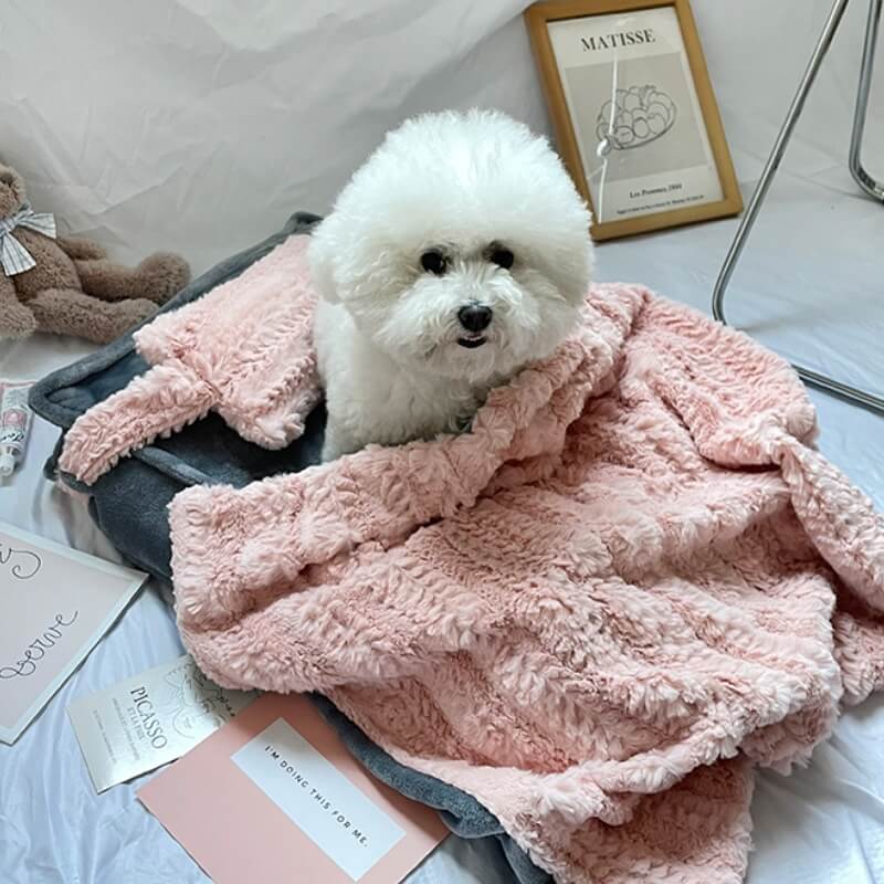 Ultra Fluffy Cat and Dog Cushion Bed with Bolster Sides, Bonus Pillow and Throw