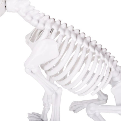 Halloween Skeleton Dog Figure in Sitting Pose for Entryways and Spooky Party Tables