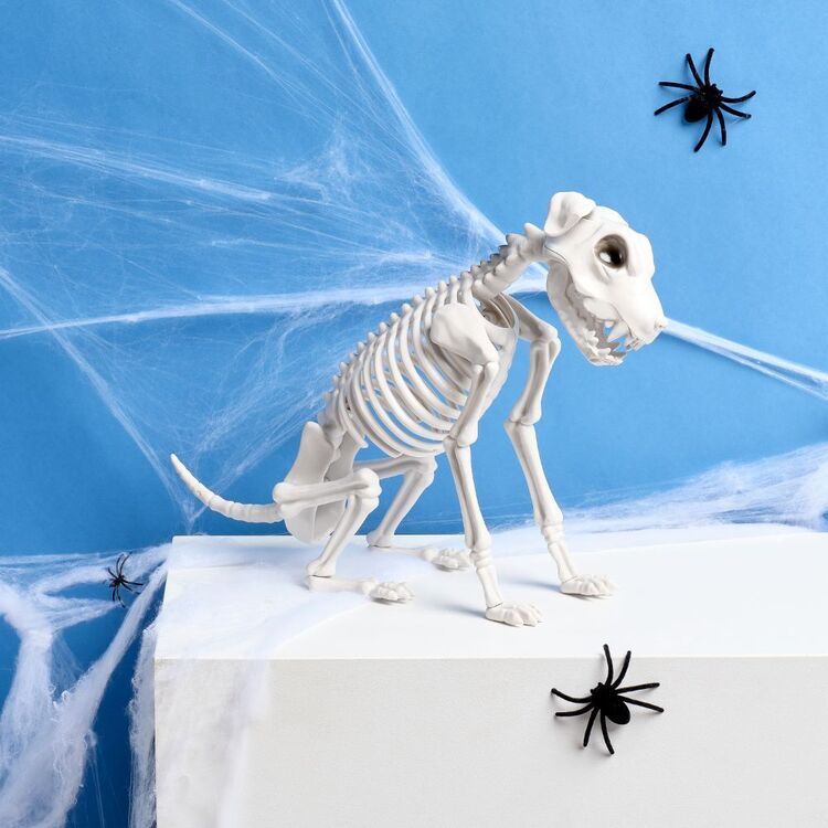 Halloween Skeleton Dog Figure in Sitting Pose for Entryways and Spooky Party Tables