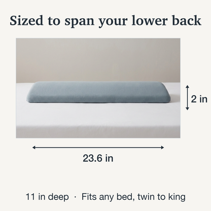 Memory Foam Lumbar Pillow with Tapered Edges and Soft Knit Cover, 23.6in Width