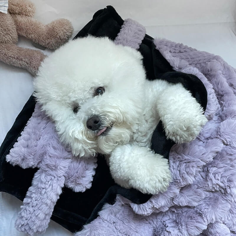 Fluffy Dog and Cat Cushion Bed with Detachable Cover and Bonus Pillow