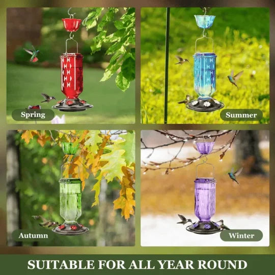 24 Ounce Glass Hummingbird Feeder with Six Flower Ports, Ant Moat and Hanging Design