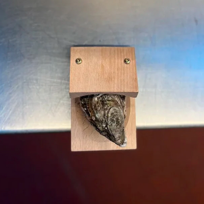 Wood Oyster Clamp Tool for Fast and Secure Shell Opening