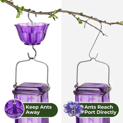 24 Ounce Glass Hummingbird Feeder with Six Flower Ports, Ant Moat and Hanging Design