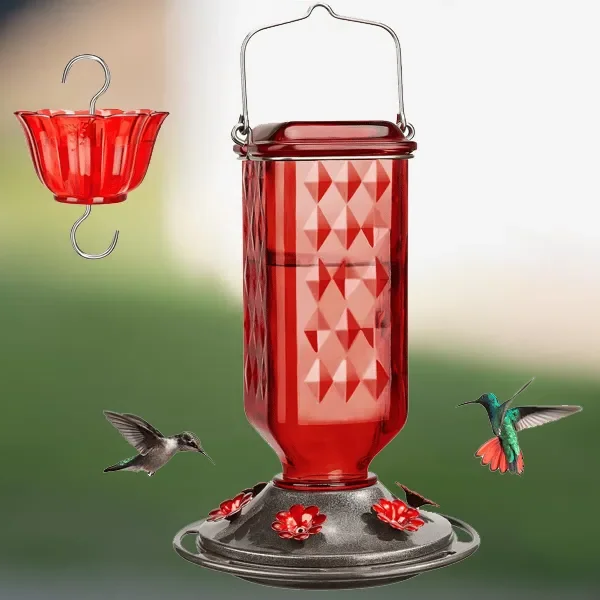 24 Ounce Glass Hummingbird Feeder with Six Flower Ports, Ant Moat and Hanging Design