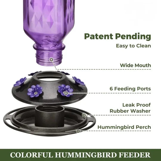 24 Ounce Glass Hummingbird Feeder with Six Flower Ports, Ant Moat and Hanging Design