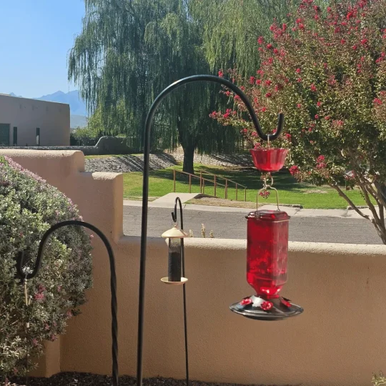 24 Ounce Glass Hummingbird Feeder with Six Flower Ports, Ant Moat and Hanging Design