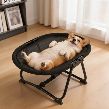Elevated Pet Bed with Breathable Mesh Platform and Foldable Iron Frame, Storage Bag Included