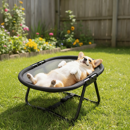 Elevated Pet Bed with Breathable Mesh Platform and Foldable Iron Frame, Storage Bag Included
