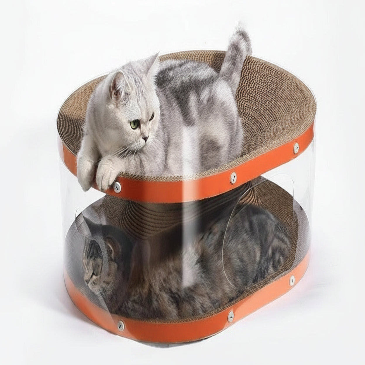 Cat Scratching Board with Raised Nest and Corrugated Surface for Indoor Play