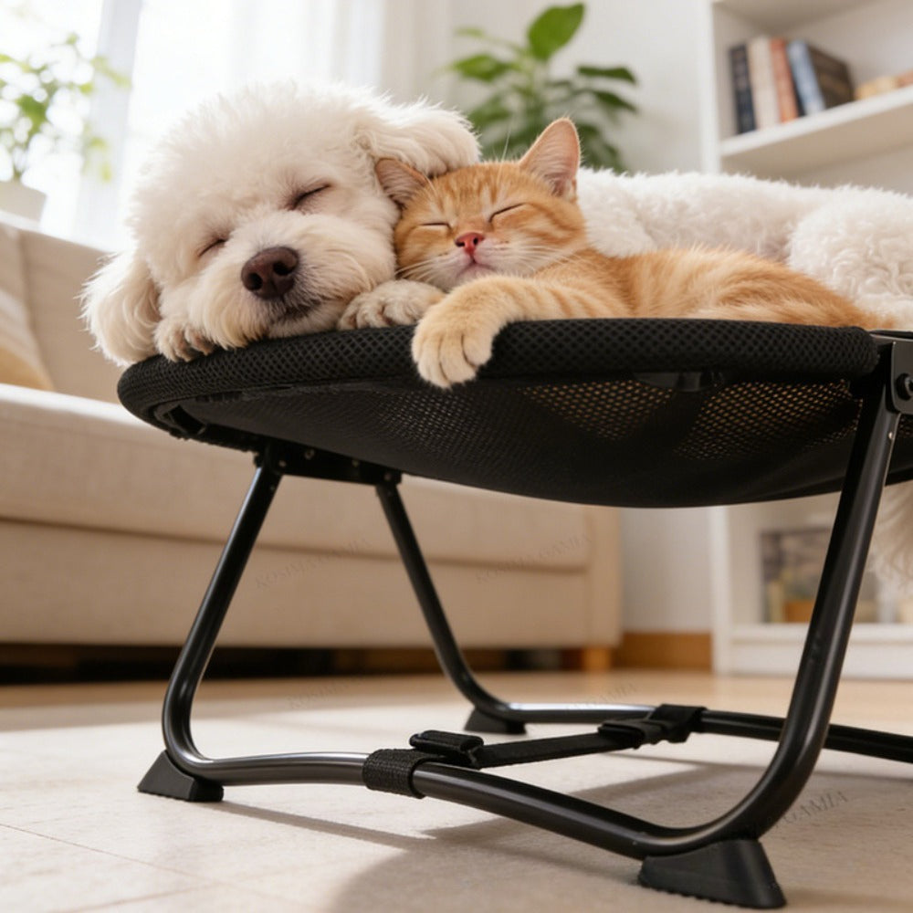Elevated Pet Bed with Breathable Mesh Platform and Foldable Iron Frame, Storage Bag Included