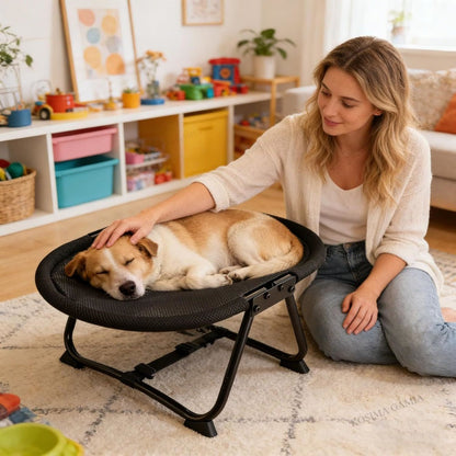 Elevated Pet Bed with Breathable Mesh Platform and Foldable Iron Frame, Storage Bag Included