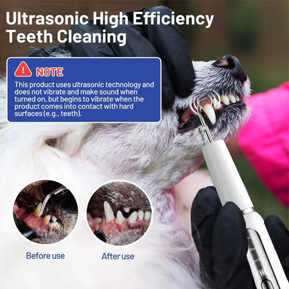 Dog Plaque, Tartar & Calculus Remover