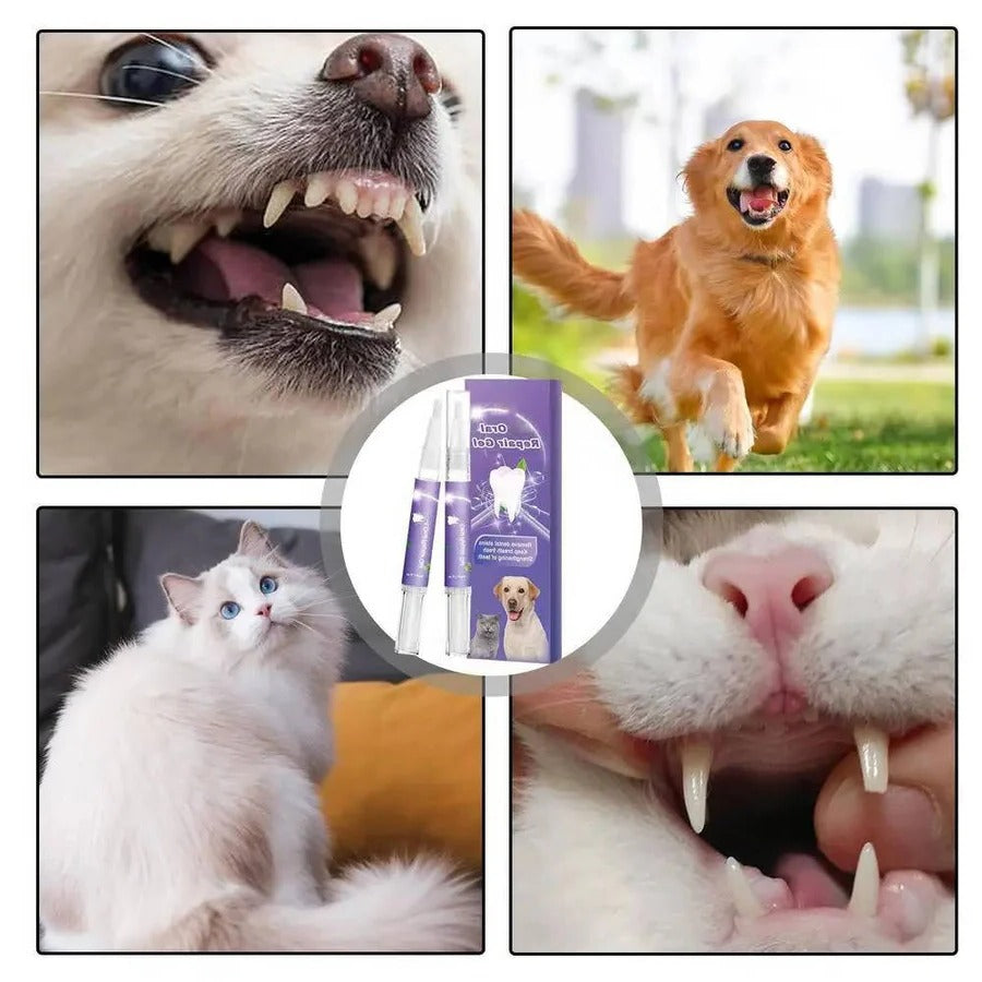 3 Set Dog Oral Repair Gel