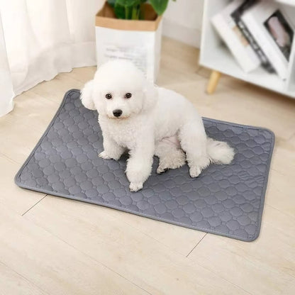 Dog Pee Pads Disposable and Reusable