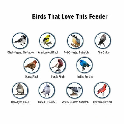 Weather Resistant Squirrel Proof Bird Feeder for Outdoor Use