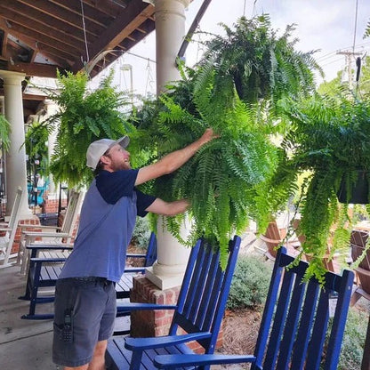 Decorative Artificial Boston Fern for Porch and Balcony Display