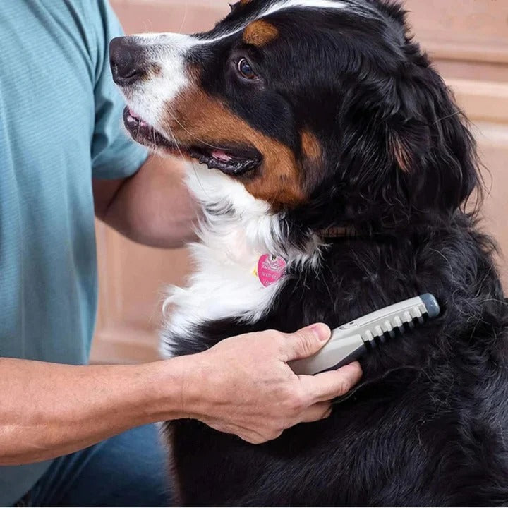 Anti Tangle Pet Grooming Rake For Dogs With Long Hair