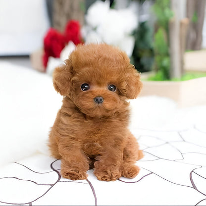 Puppy Plush Toy with Synthetic Fur and Weighted Filling