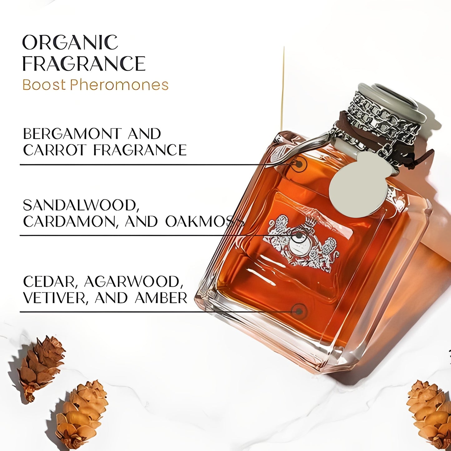 Men’s Scented Perfume Spray