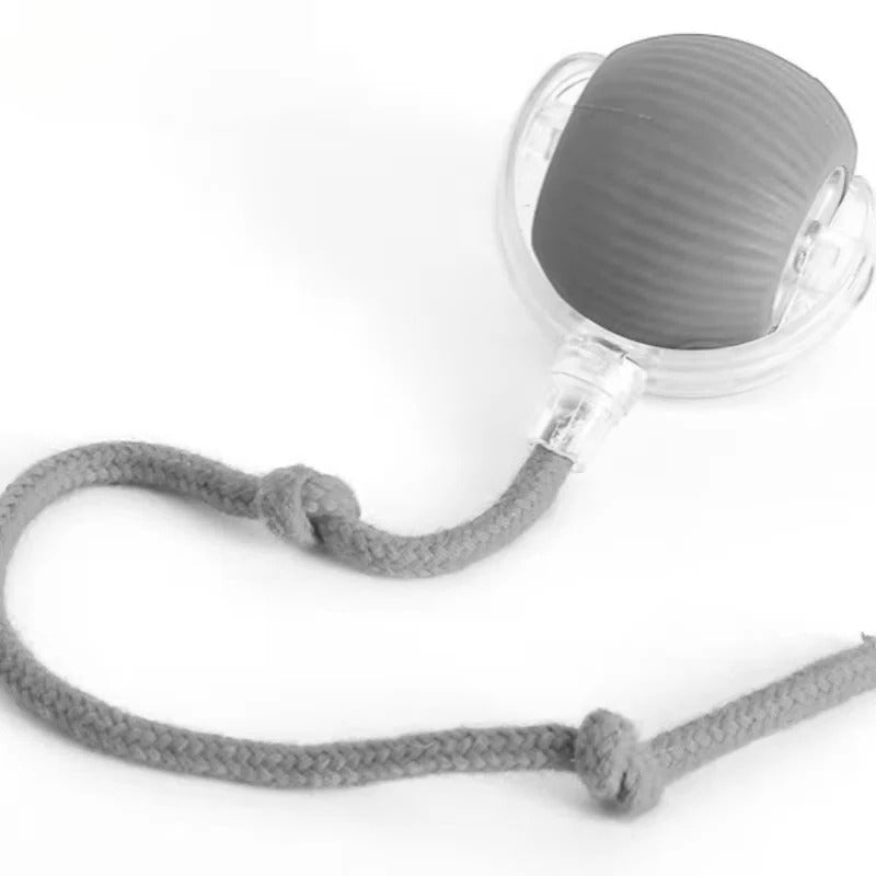 Motorized Rolling Cat Toy with Fiber Tail Design