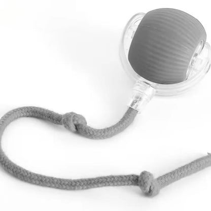 Motorized Rolling Cat Toy with Fiber Tail Design