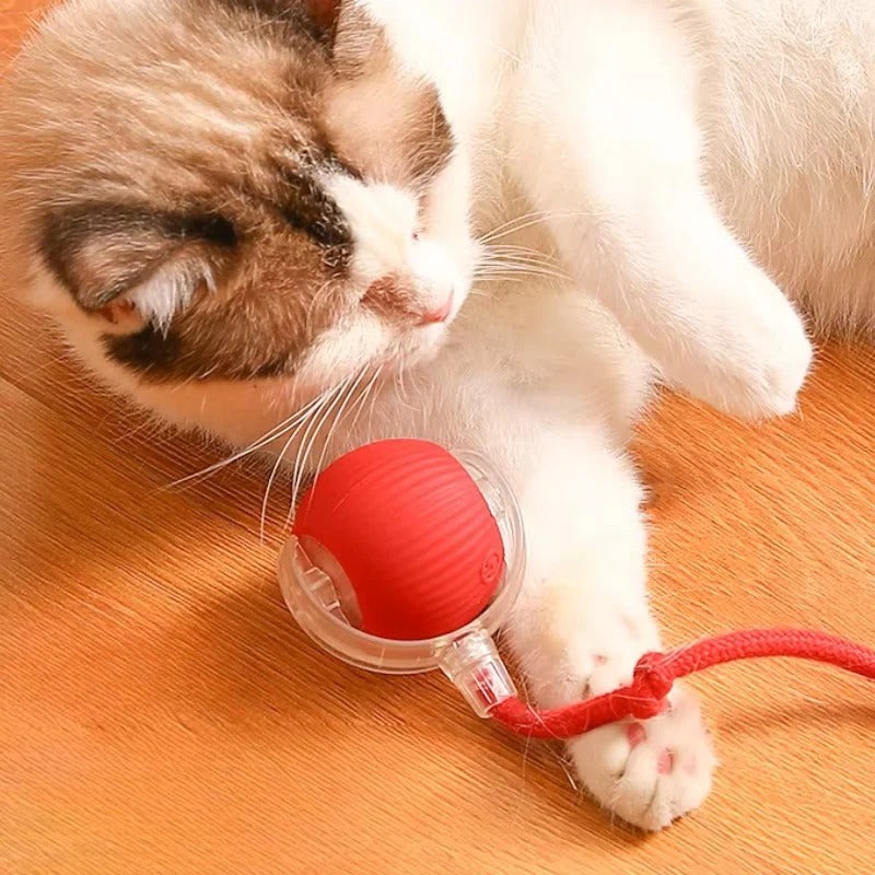 Motorized Rolling Cat Toy with Fiber Tail Design