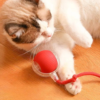 Motorized Rolling Cat Toy with Fiber Tail Design