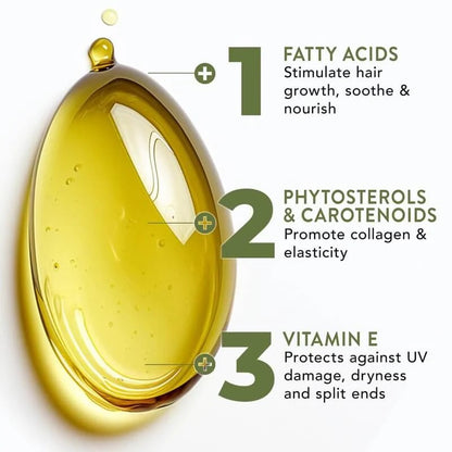 Natural Batana Oil for Hair Moisture and Care