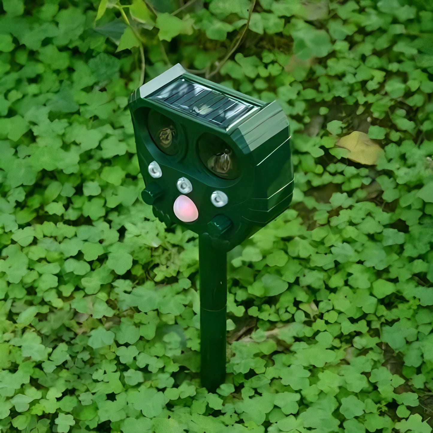 Solar Ultrasonic Snake Deterrent with Motion Sensor