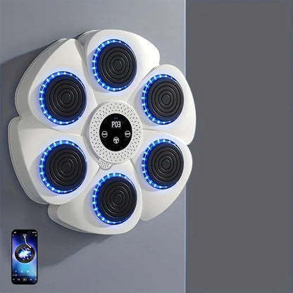 Wall Mounted USB Rechargeable Music Boxing Target