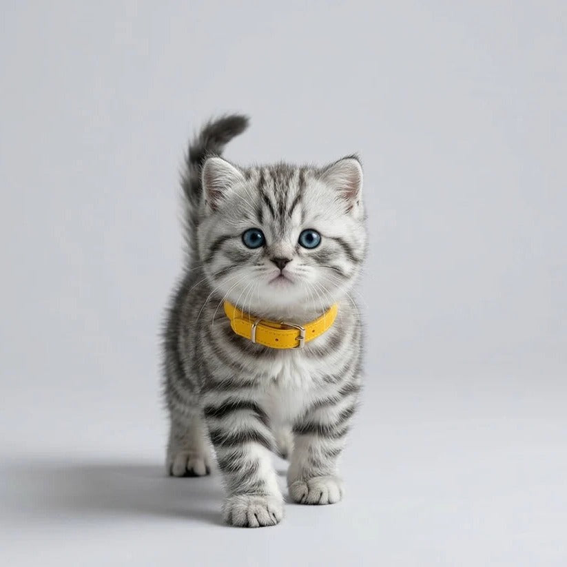 Battery Operated Plush Cat Toy with Walking and Sound for Kids