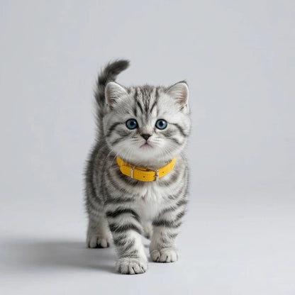 Battery Operated Plush Cat Toy with Walking and Sound for Kids