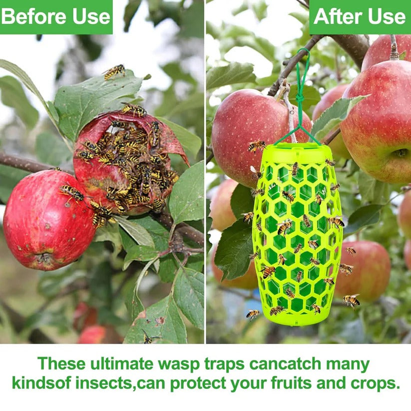 Reusable Hanging Wasp and Hornet Catcher Trap for Outdoor Garden Use, Set of 2