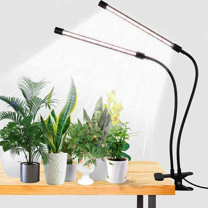 Clip On Plant Grow Light with Timer and Dual Gooseneck Arms for Indoor Use