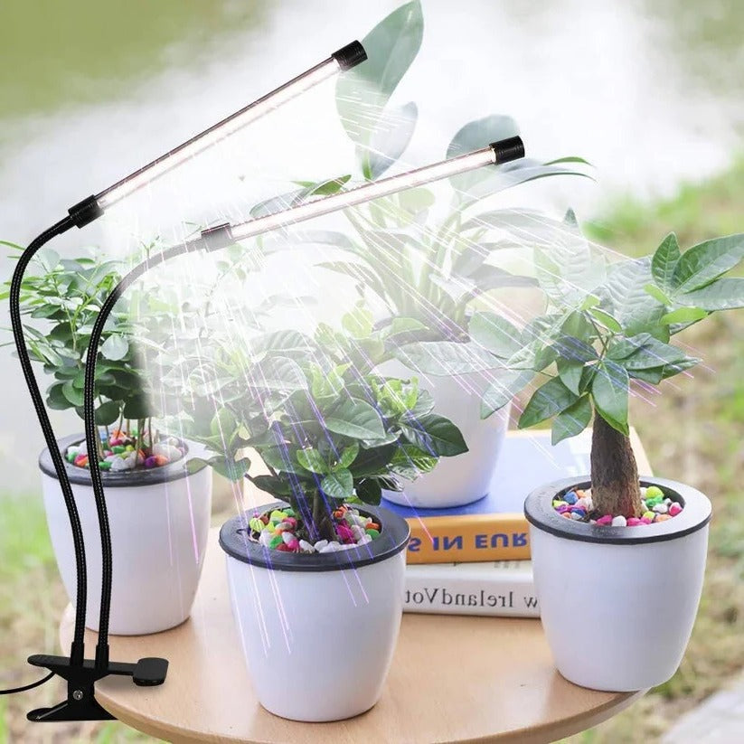 Clip On Plant Grow Light with Timer and Dual Gooseneck Arms for Indoor Use