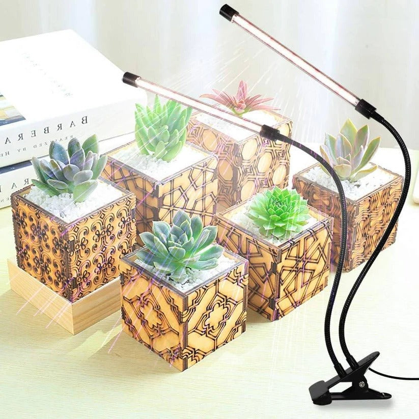 Clip On Plant Grow Light with Timer and Dual Gooseneck Arms for Indoor Use