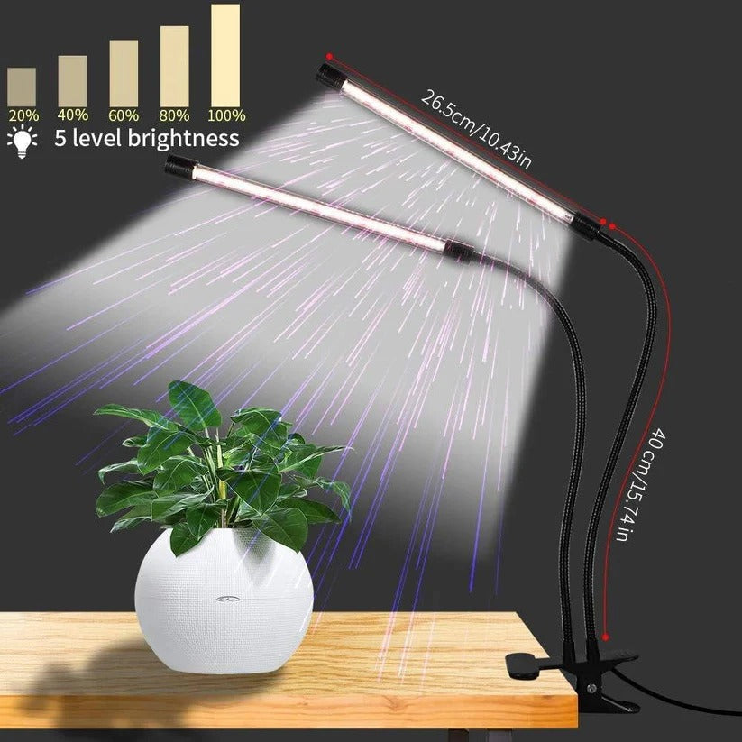 Clip On Plant Grow Light with Timer and Dual Gooseneck Arms for Indoor Use