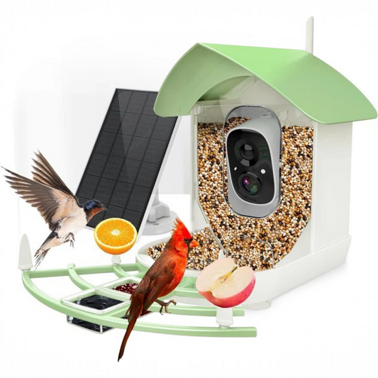 Smart Bird Feeder Camera with App Control and Night Vision