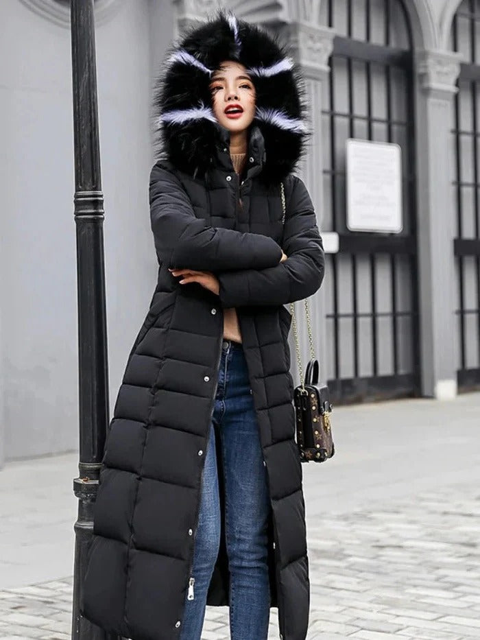 Womens Regular Fit Cold Weather Jacket with Long Sleeves in 6 Colors for Fall and Winter
